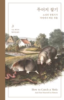 리커버 에디션 | 두더지 잡기