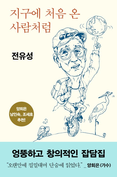 지구에 처음 온 사람처럼 표지 이미지