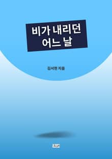 비가 내리던 어느 날