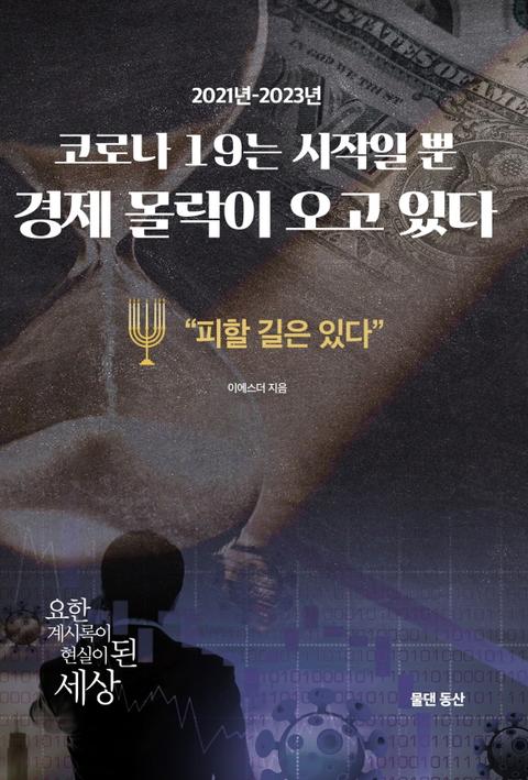 코로나 19는 시작일 뿐 경제 몰락이 오고 있다 표지 이미지