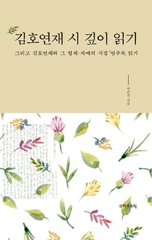 김호연재 시 깊이 읽기