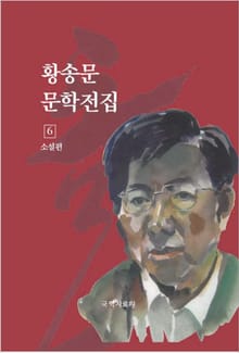 황송문 문학 전집 6