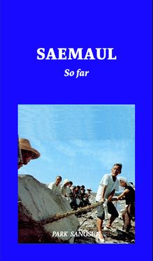 SAEMAUL so far