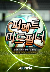 퍼펙트 미드필더 표지 이미지