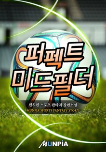 퍼펙트 미드필더