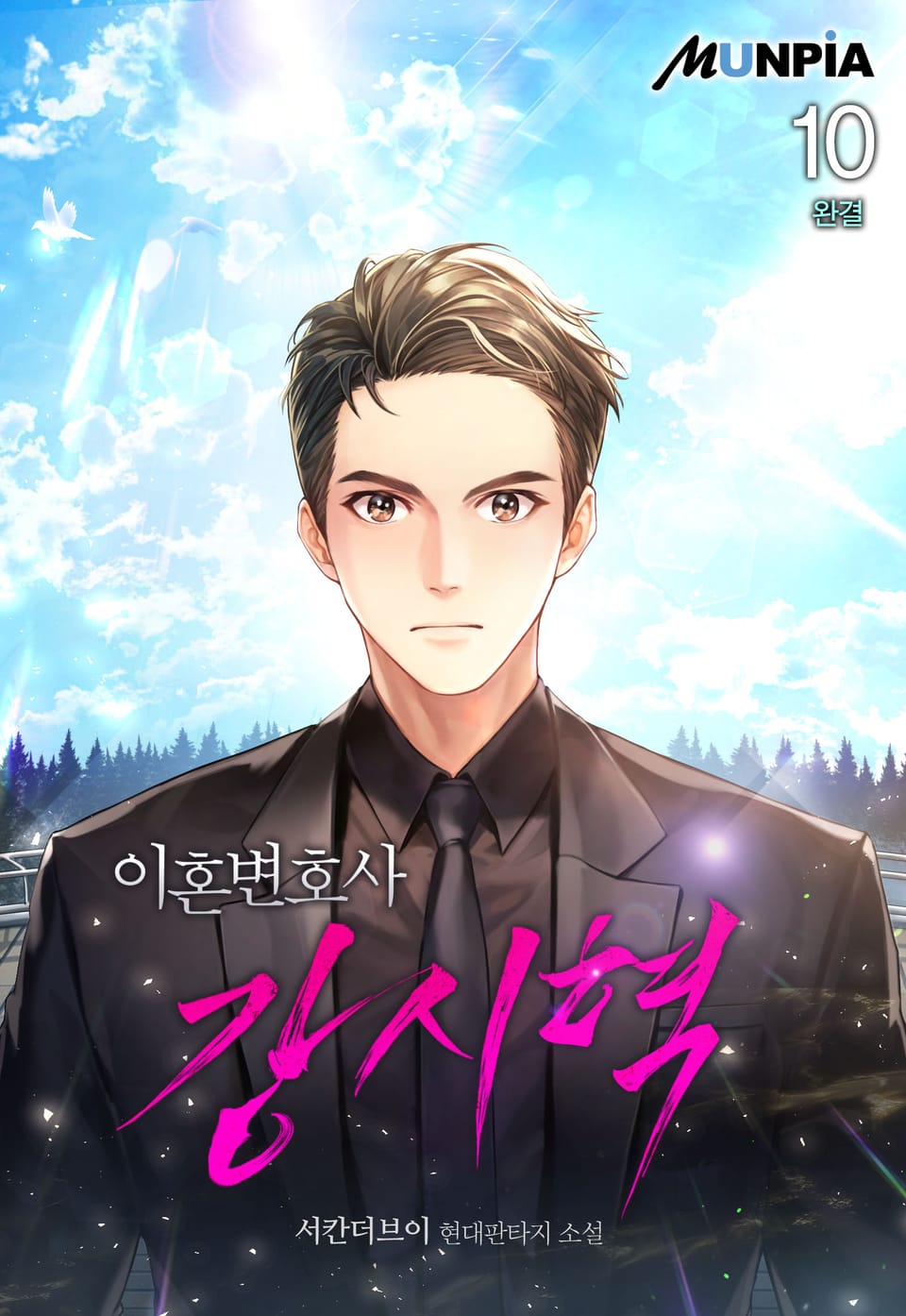 이혼변호사 강시혁 10권 (완결)