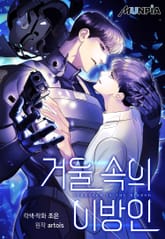 거울 속의 이방인 [개정판] 표지 이미지