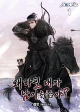 왜 하필 내가 남이(南怡)야? 표지 이미지