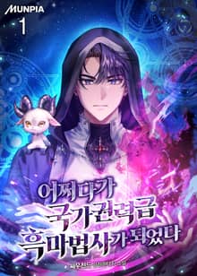 어쩌다가 국가권력급 흑마법사가 되었다