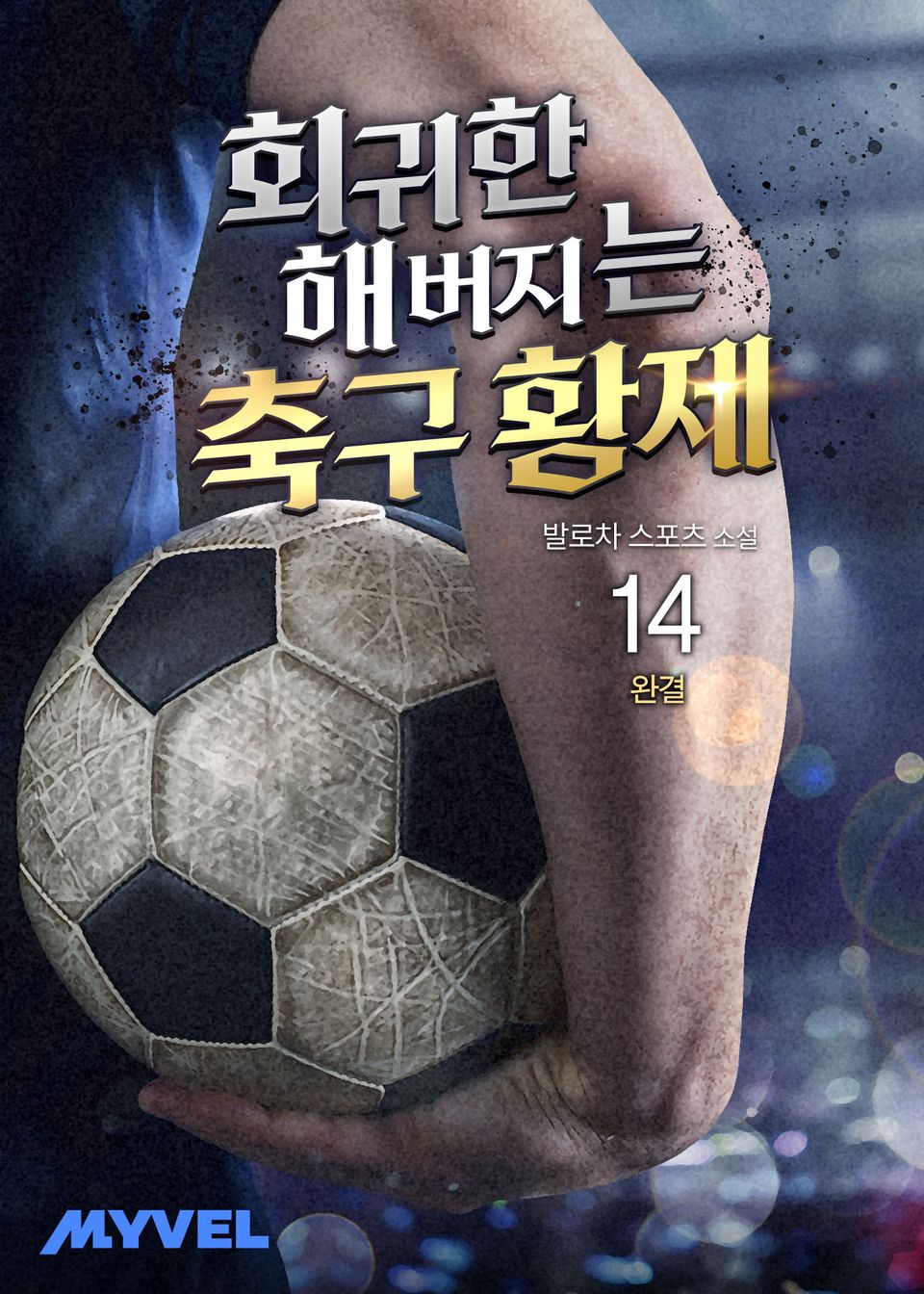 회귀한 해버지는 축구 황제 14권 (완결)