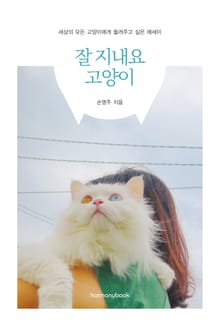 잘지내요 고양이