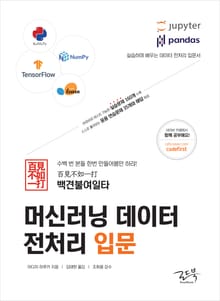 백견불여일타 머신러닝 데이터 전처리 입문