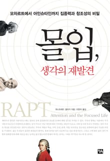 몰입 생각의 재발견
