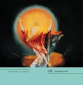 부활 표지 이미지