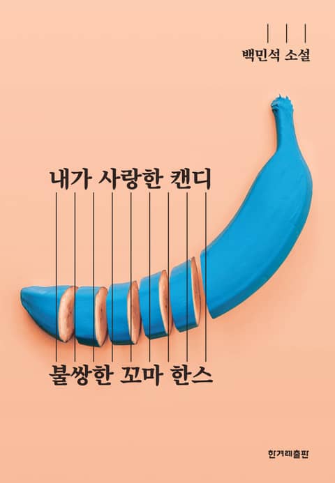 내가 사랑한 캔디 불쌍한 꼬마 한스 표지 이미지