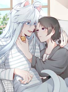 애완연인