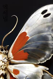 < ephyra > : 에피라, 델프의 물품 인공지능人工知能 A.I D146ELF AIXDGA HANDLER XNLKX圖錄도록 [ ART brochure ] N V