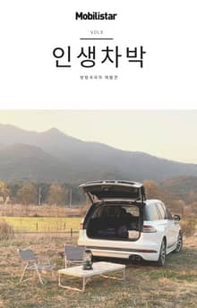 인생차박