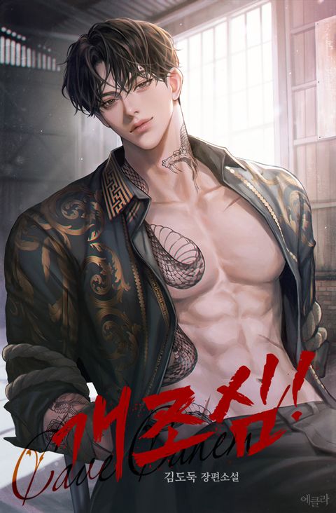 개조심!(Cave Canem!)