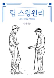 림 스윙원리