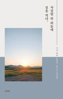 자갈밭 위 하늘에 점을 찍다.