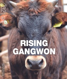 RISING GANGWON Vol.82 (동트는 강원 외국어)