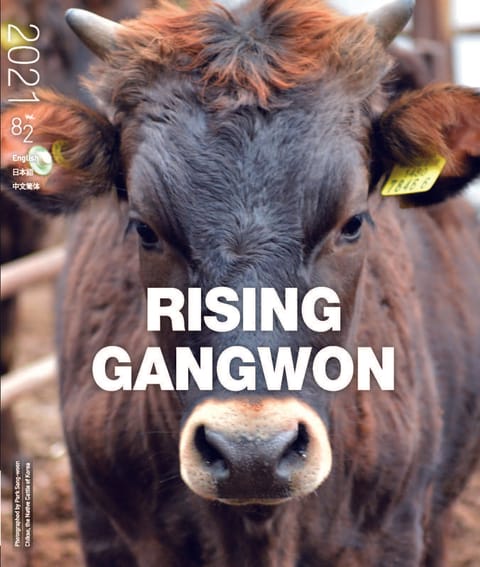 RISING GANGWON Vol.82 (동트는 강원 외국어) 표지 이미지