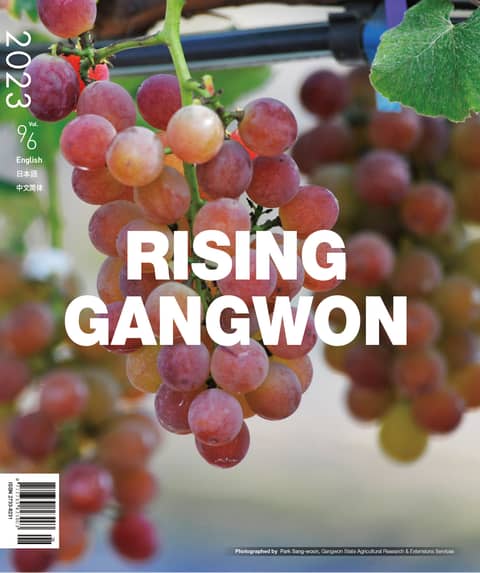 RISING GANGWON Vol.96 (동트는 강원 외국어) 표지 이미지