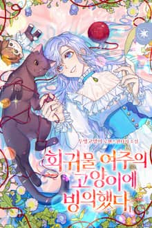 회귀물 여주의 고양이에 빙의했다