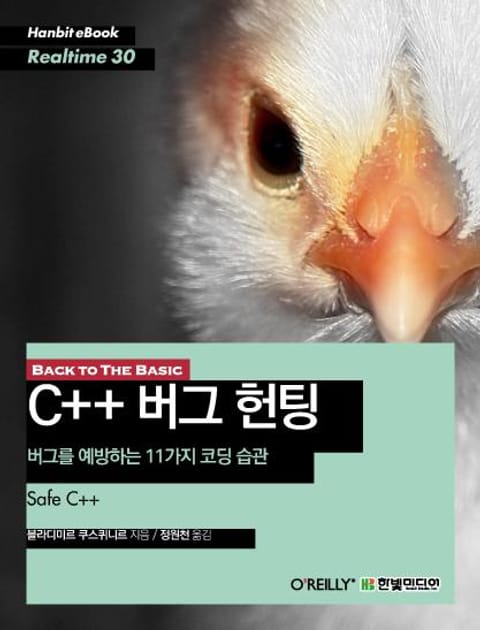 [리얼타임] BACK TO THE BASIC, C++ 버그 헌팅 표지 이미지