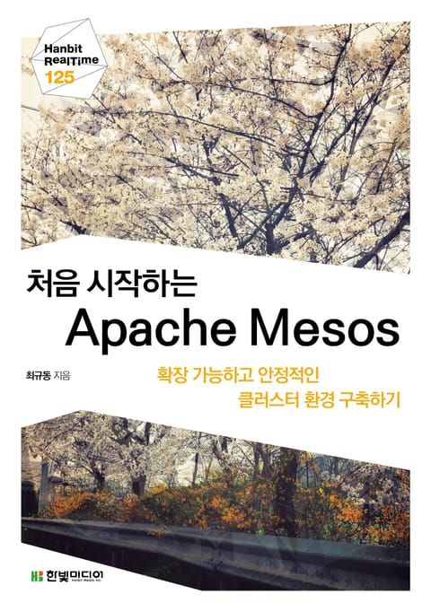 [리얼타임] 처음 시작하는 Apache Mesos 표지 이미지