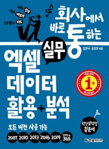 회사에서 바로 통하는 실무 엑셀 데이터 활용+분석