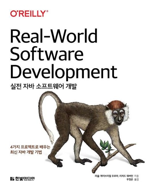 실전 자바 소프트웨어 개발 표지 이미지