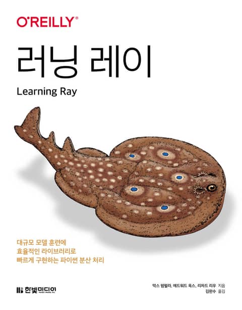 러닝 레이 표지 이미지