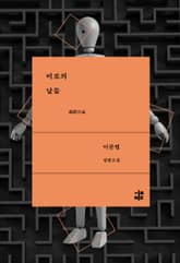 미로의 날들 표지 이미지