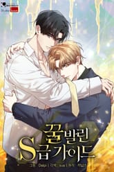 꿀 발린 S급 가이드 [개정판] 표지 이미지