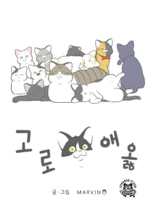 고로애옳