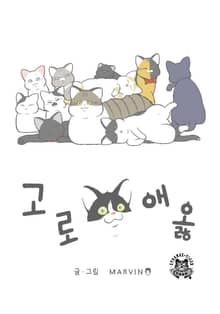 고로애옳