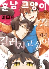 훈남 고양이는 하루타에게 길러지고 싶어 표지 이미지