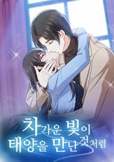 차가운 빛이 태양을 만난 것처럼 표지 이미지