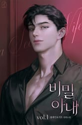 비밀 아내 표지 이미지