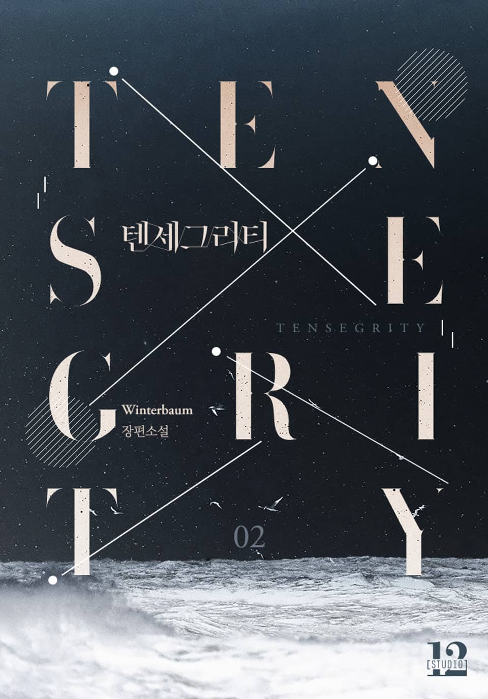 텐세그리티(Tensegrity) 2권