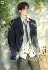 눈부신 파편 표지 이미지