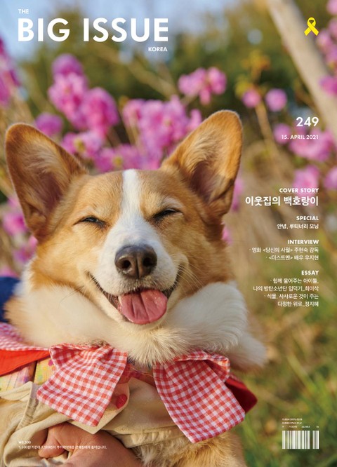 빅이슈 코리아 The Big Issue No.249 표지 이미지