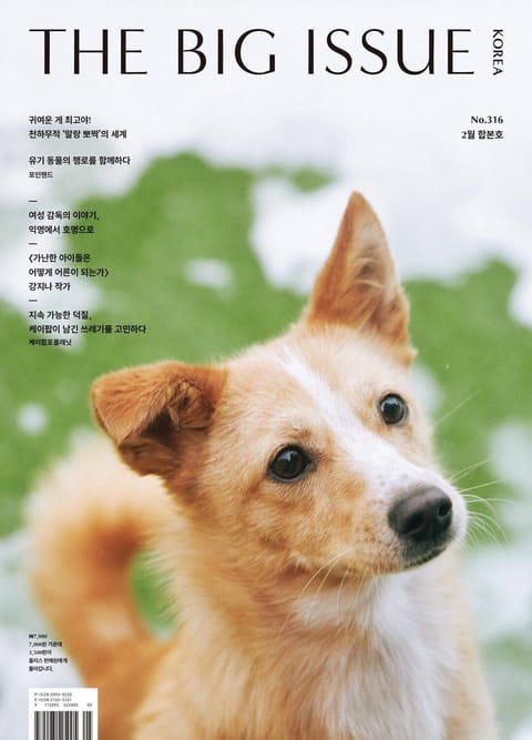 빅이슈코리아 The Big Issue No.316 표지 이미지