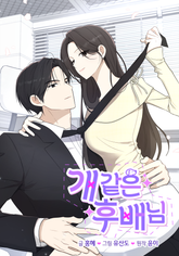 개 같은 후배님 표지 이미지