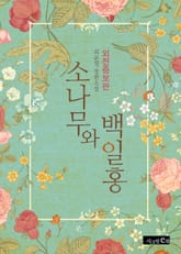 소나무와 백일홍(외전증보판) 표지 이미지