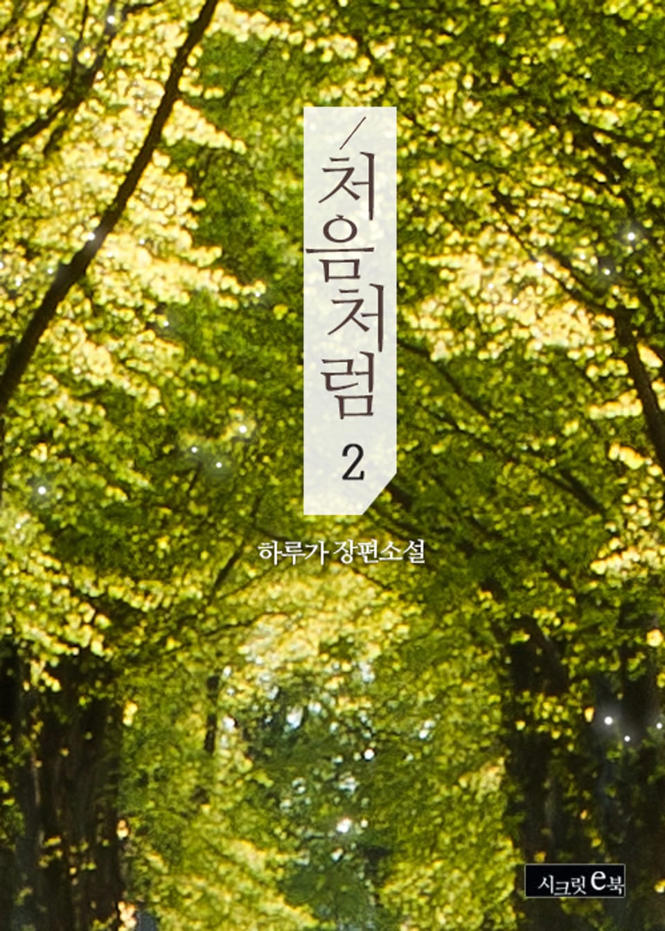 처음처럼 2권 (완결)