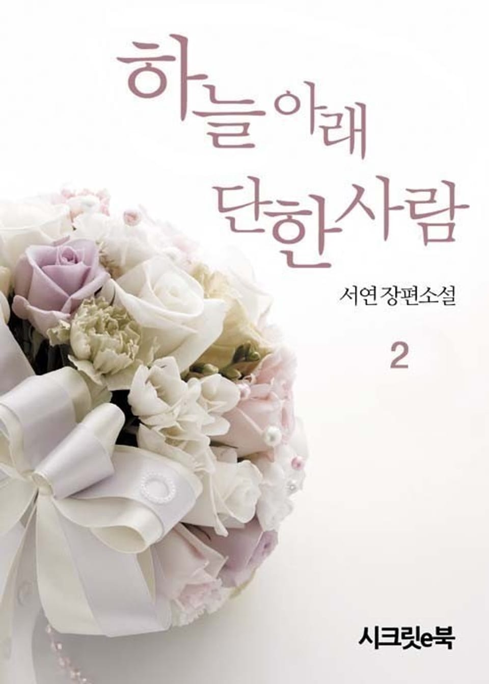 하늘 아래 단 한 사람 2권 (완결)