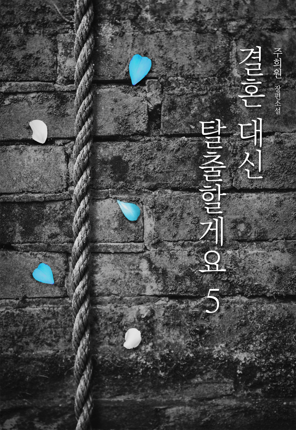 결혼 대신 탈출할게요 5권